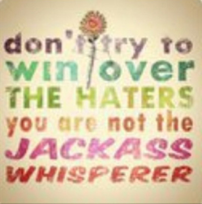 Don’t try to win over the haters. You are not the jackass whisperer.