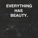 everything-has-beauty