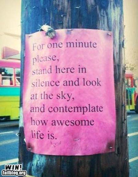 For one minute please, stand here in silence and look at the sky and contemplate  how awesome life is.
