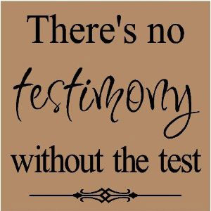 There is no testimony without the test.