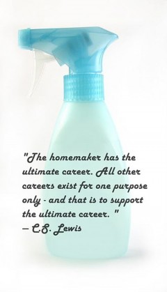 The homemaker has the ultimate career. All other careers exist for one purpose only - and that is to support the ultimate career
