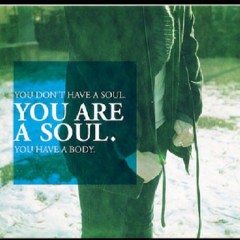 You don't have a soul, you are a soul, you have a body