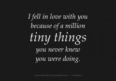I fell in love with you because of a million timy things, you never knew what you were doing