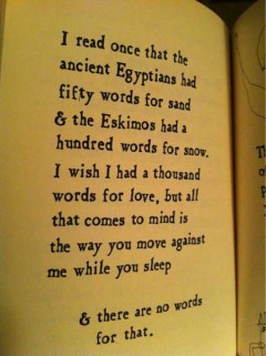 I read once that the ancient Egyptians had fity words for sand and the Eskimos a hundered words for snow, I wish I had a thousand words for love